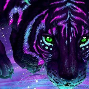 Meet your Posher, Niki